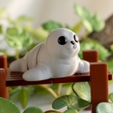 Baby Seal