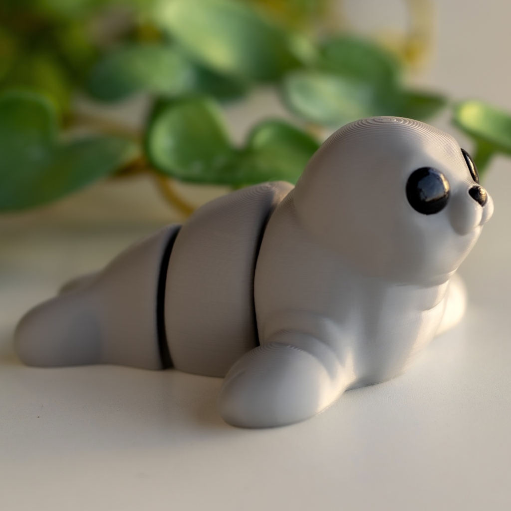 Baby Seal