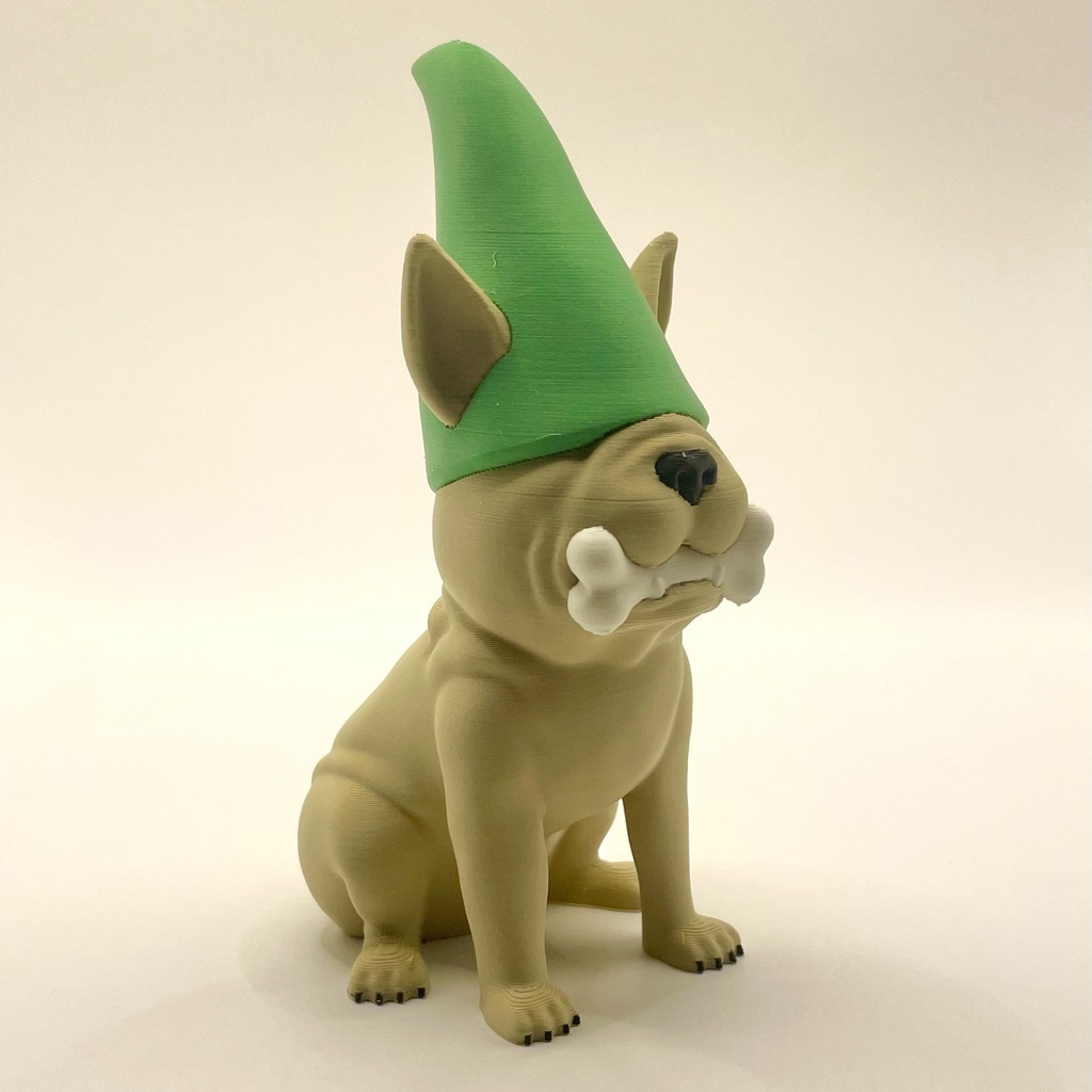 Dog With Gnome Hat