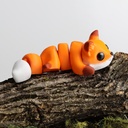 Baby Fox