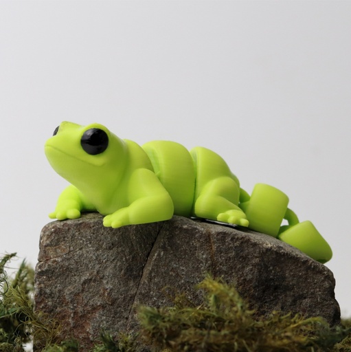Baby lizard